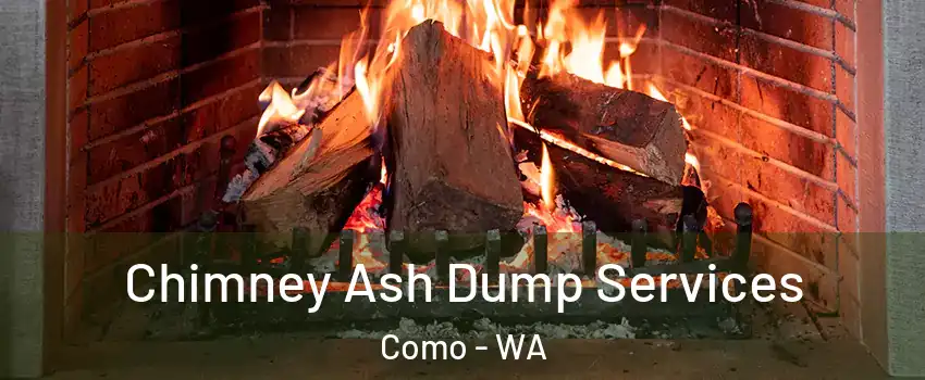 Chimney Ash Dump Services Como - WA