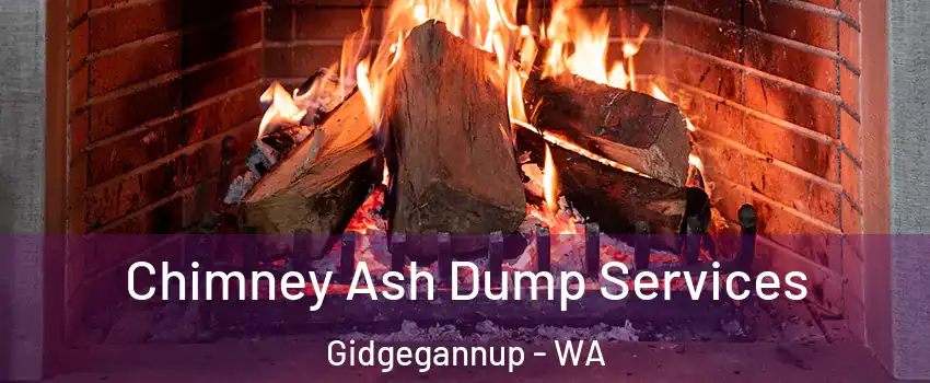Chimney Ash Dump Services Gidgegannup - WA