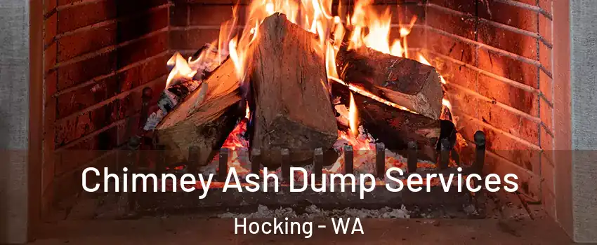 Chimney Ash Dump Services Hocking - WA