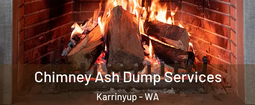 Chimney Ash Dump Services Karrinyup - WA