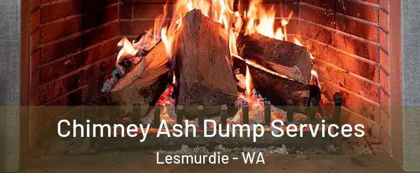 Chimney Ash Dump Services Lesmurdie - WA