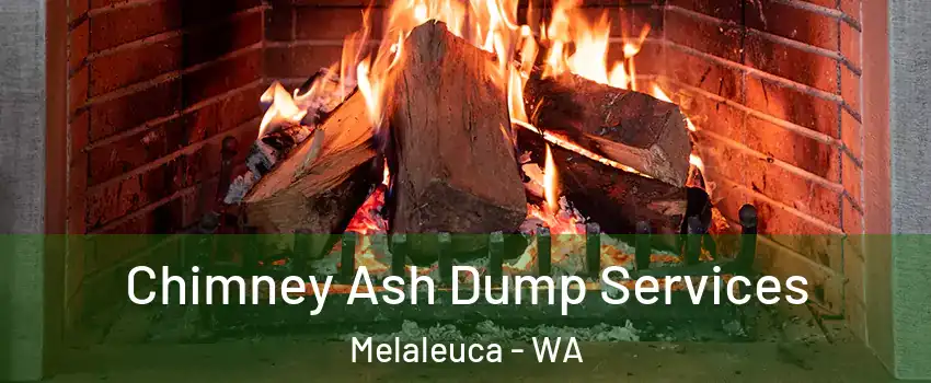 Chimney Ash Dump Services Melaleuca - WA