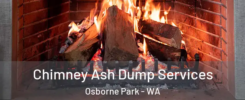Chimney Ash Dump Services Osborne Park - WA