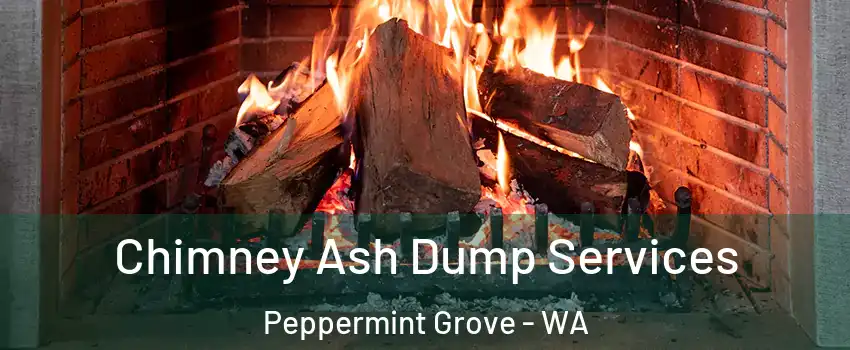 Chimney Ash Dump Services Peppermint Grove - WA