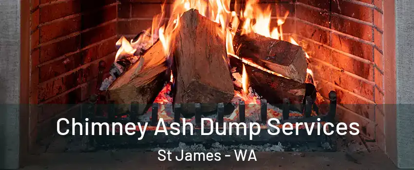 Chimney Ash Dump Services St James - WA