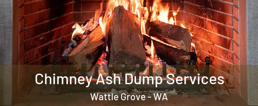 Chimney Ash Dump Services Wattle Grove - WA