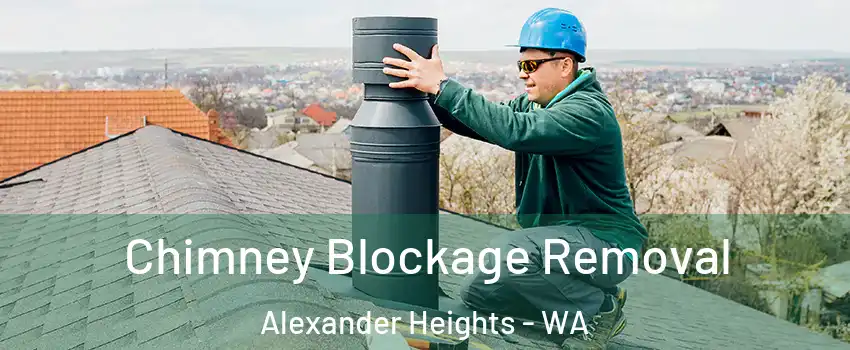 Chimney Blockage Removal Alexander Heights - WA