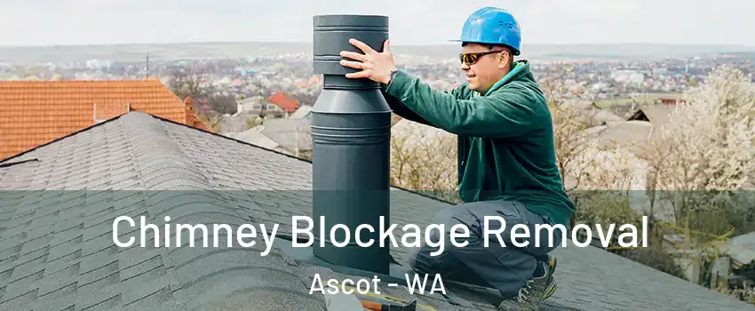 Chimney Blockage Removal Ascot - WA