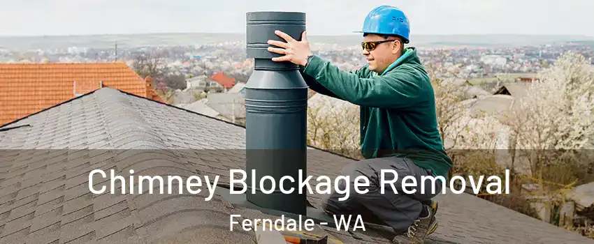 Chimney Blockage Removal Ferndale - WA