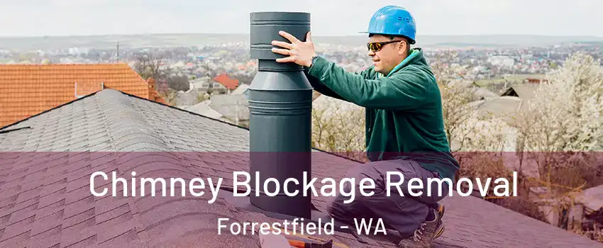 Chimney Blockage Removal Forrestfield - WA