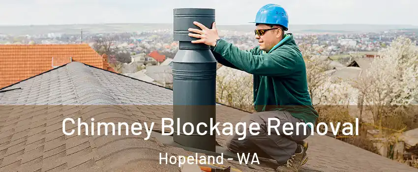 Chimney Blockage Removal Hopeland - WA