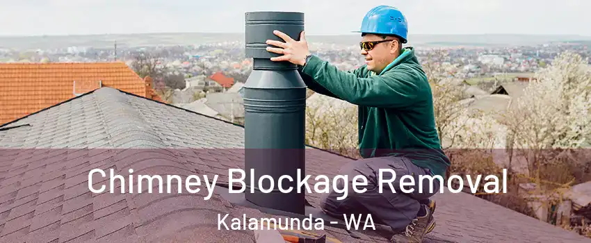 Chimney Blockage Removal Kalamunda - WA