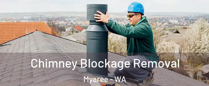 Chimney Blockage Removal Myaree - WA
