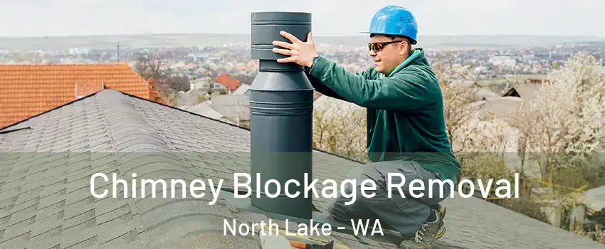 Chimney Blockage Removal North Lake - WA