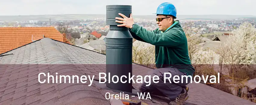 Chimney Blockage Removal Orelia - WA