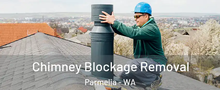 Chimney Blockage Removal Parmelia - WA