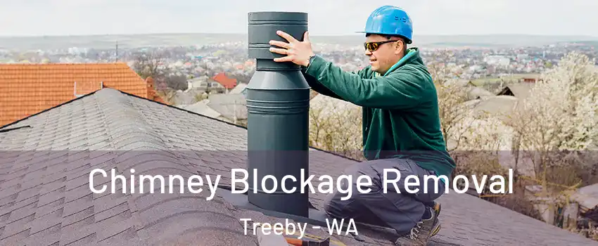 Chimney Blockage Removal Treeby - WA