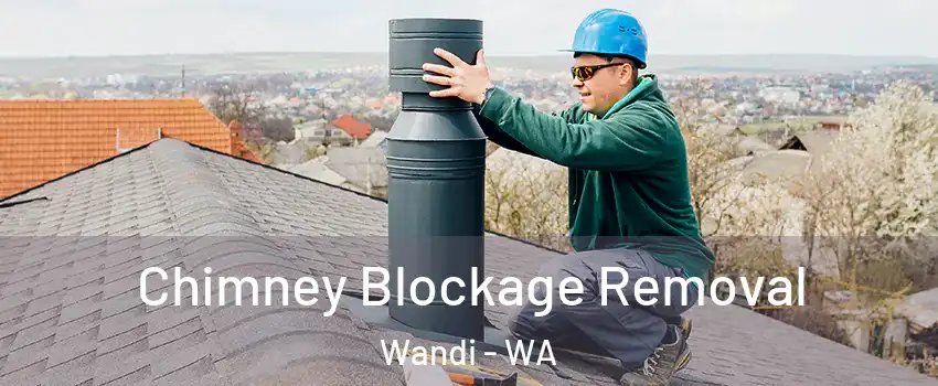 Chimney Blockage Removal Wandi - WA