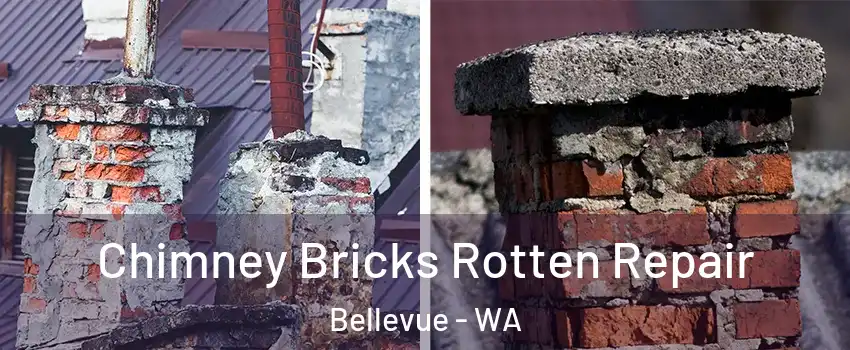 Chimney Bricks Rotten Repair Bellevue - WA