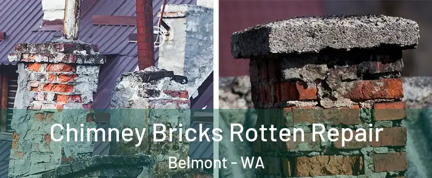 Chimney Bricks Rotten Repair Belmont - WA