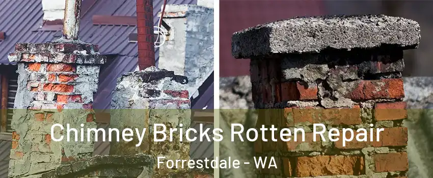 Chimney Bricks Rotten Repair Forrestdale - WA