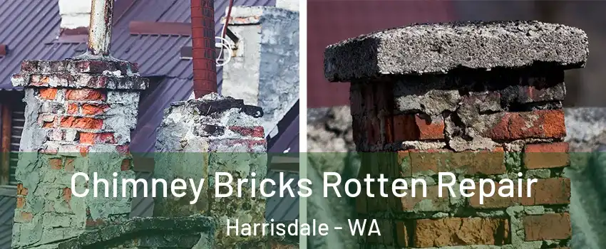 Chimney Bricks Rotten Repair Harrisdale - WA