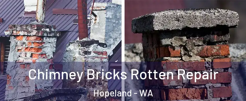 Chimney Bricks Rotten Repair Hopeland - WA