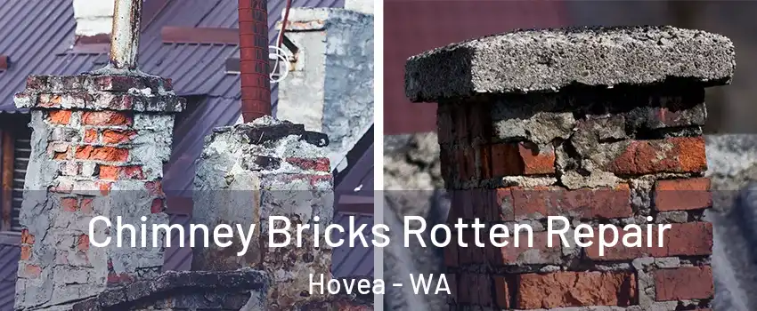 Chimney Bricks Rotten Repair Hovea - WA
