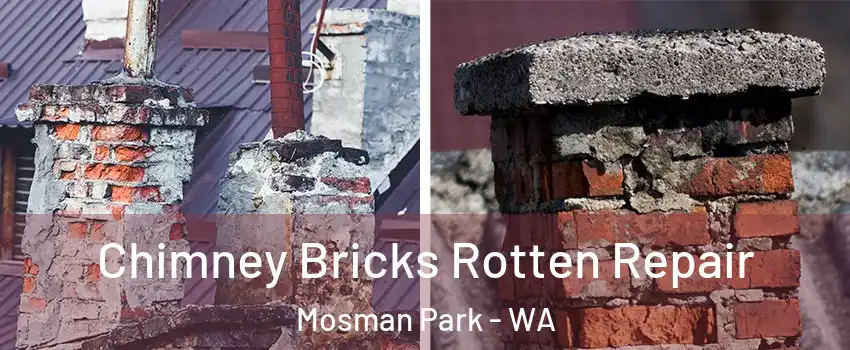 Chimney Bricks Rotten Repair Mosman Park - WA
