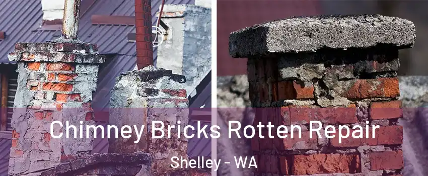 Chimney Bricks Rotten Repair Shelley - WA