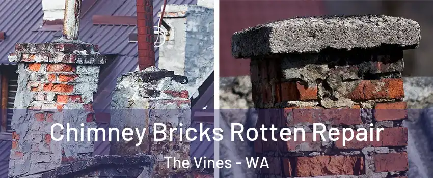 Chimney Bricks Rotten Repair The Vines - WA