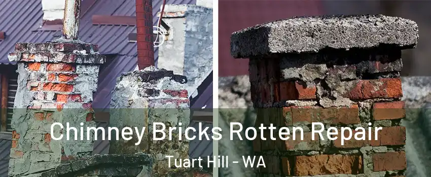 Chimney Bricks Rotten Repair Tuart Hill - WA