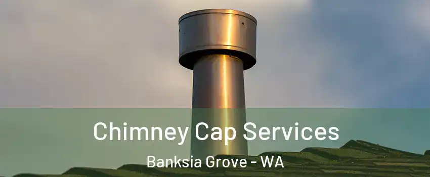 Chimney Cap Services Banksia Grove - WA