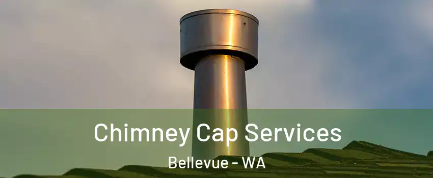 Chimney Cap Services Bellevue - WA