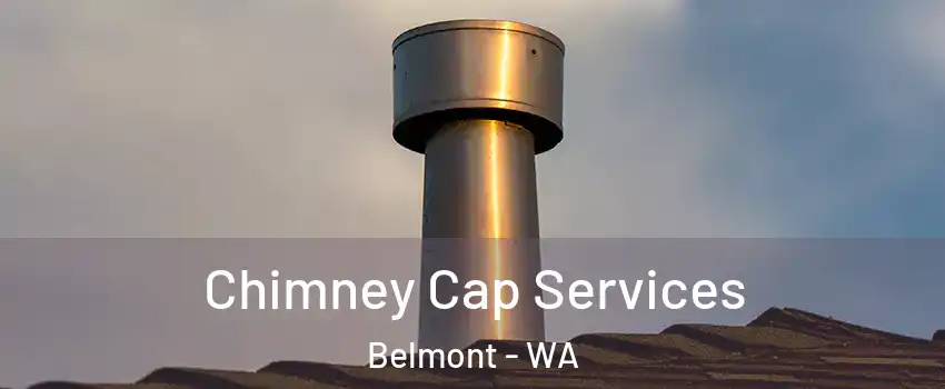 Chimney Cap Services Belmont - WA