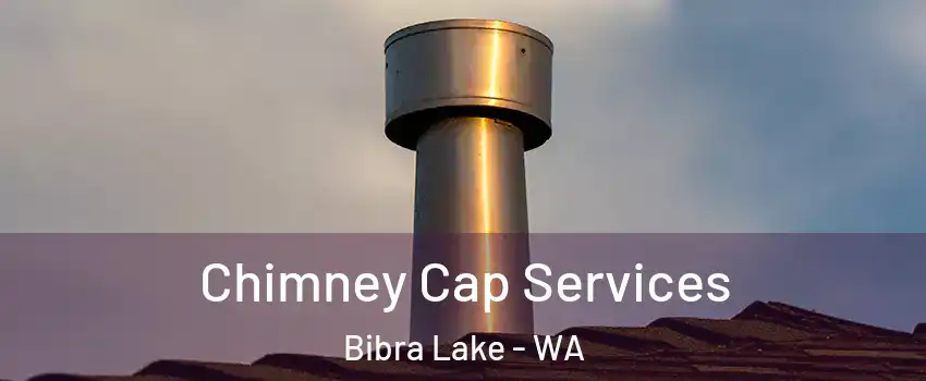 Chimney Cap Services Bibra Lake - WA