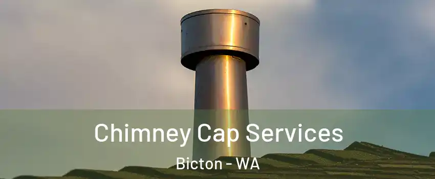 Chimney Cap Services Bicton - WA