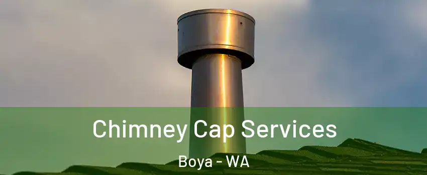 Chimney Cap Services Boya - WA