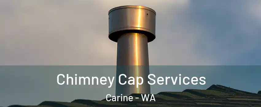 Chimney Cap Services Carine - WA