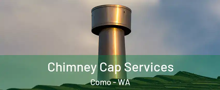Chimney Cap Services Como - WA