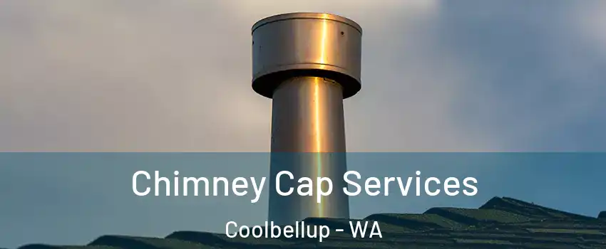 Chimney Cap Services Coolbellup - WA