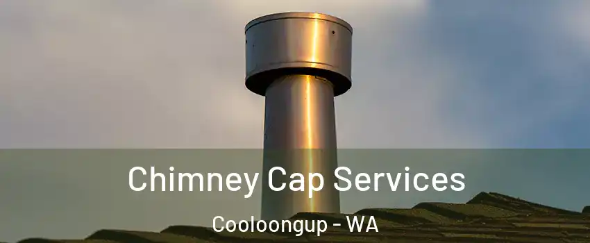 Chimney Cap Services Cooloongup - WA