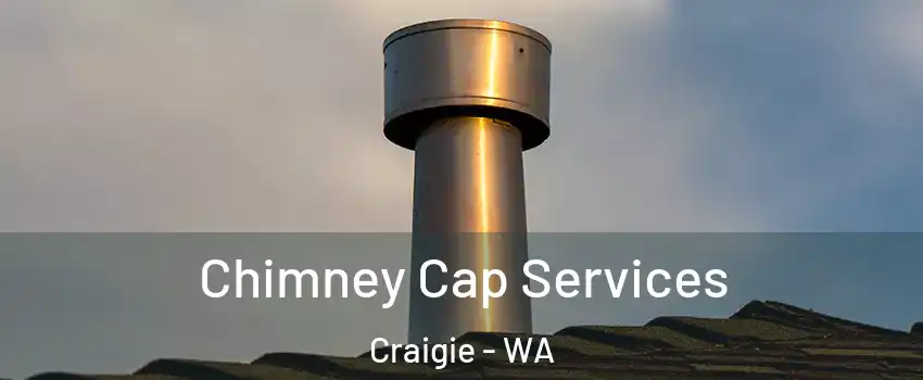 Chimney Cap Services Craigie - WA