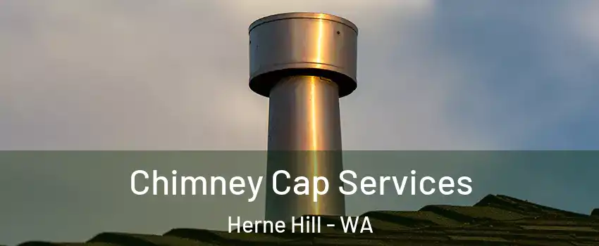 Chimney Cap Services Herne Hill - WA