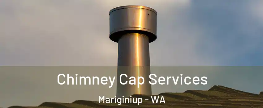 Chimney Cap Services Mariginiup - WA