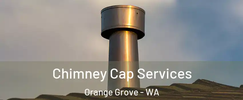 Chimney Cap Services Orange Grove - WA