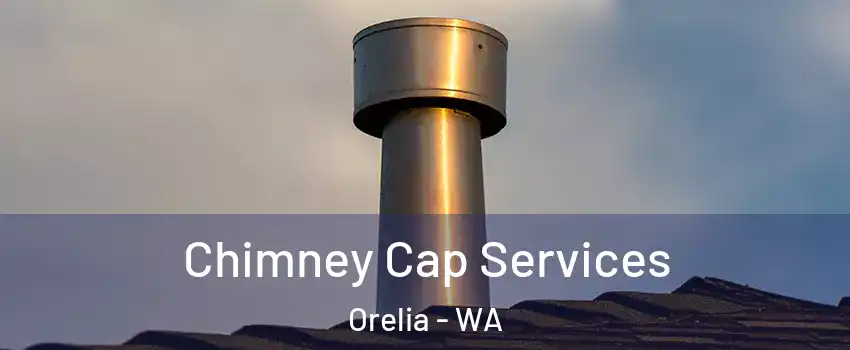 Chimney Cap Services Orelia - WA