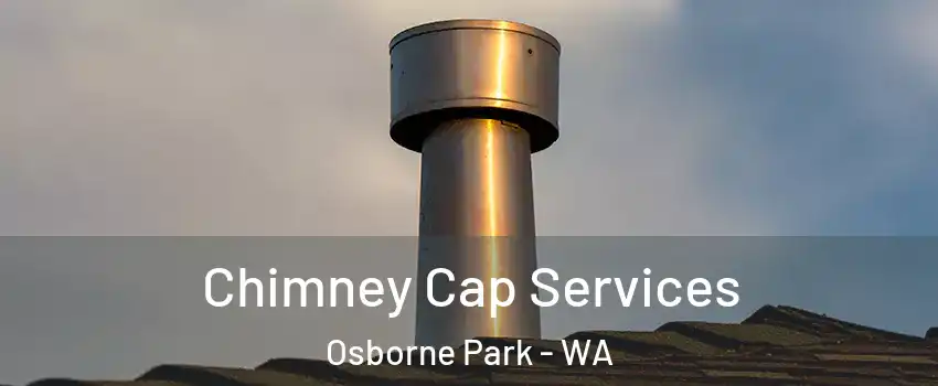 Chimney Cap Services Osborne Park - WA