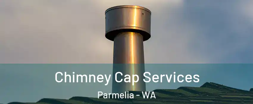 Chimney Cap Services Parmelia - WA