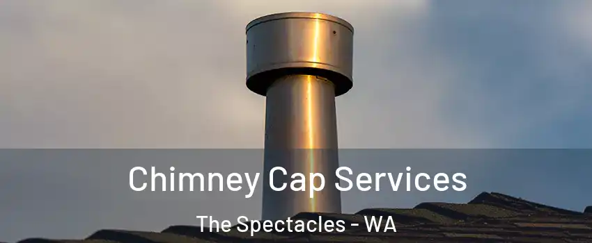 Chimney Cap Services The Spectacles - WA